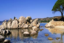 米兰体育app入口-雄鹿关键时刻失误不断，球队憾负对手，如果活动管理为了感觉数据国际.